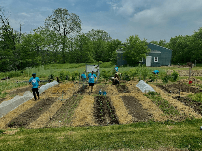 The Living Soil