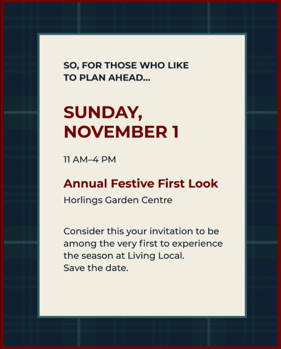 Living Local Marketplace's Festive First Look