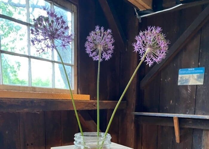 Woodworker's Apprentice Workshop: Jar Vase Holder