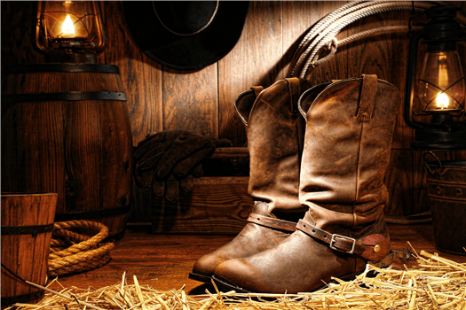 Square Dancing - Otonabee Squares