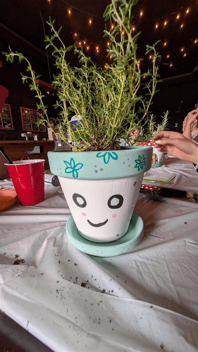 Painted Flower Pots