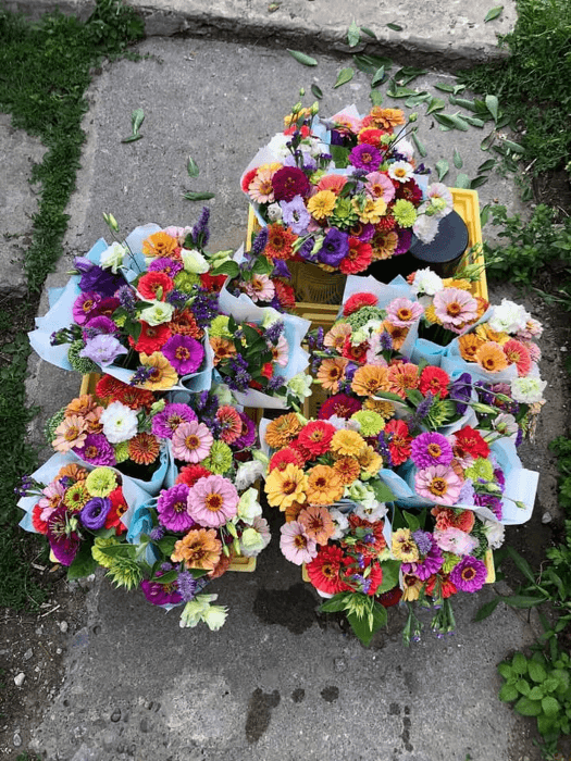 Flower Fest at Cobourg Farmers Market