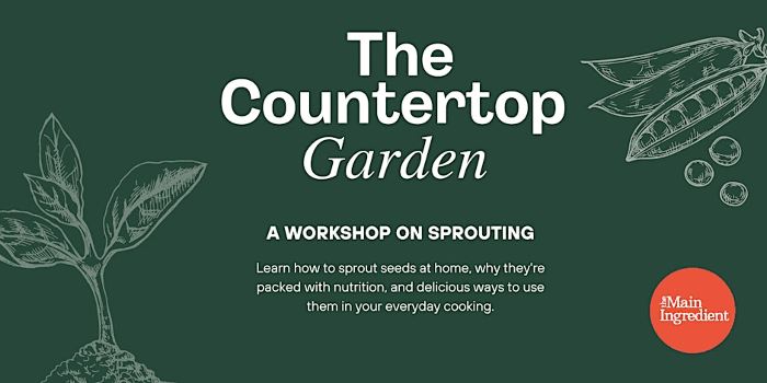 The Countertop Garden
