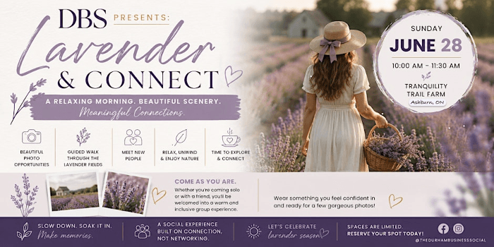 Lavender & Connect