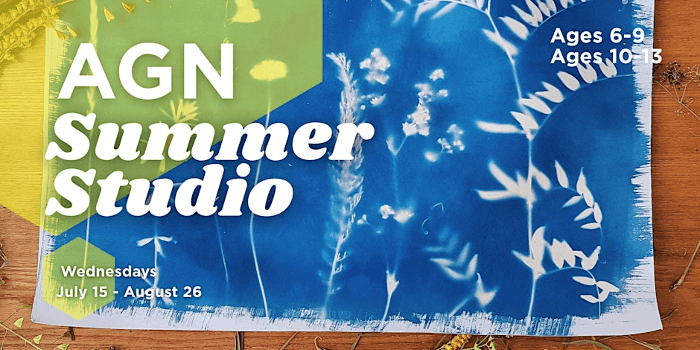 AGN Summer Studio: Sun Printing