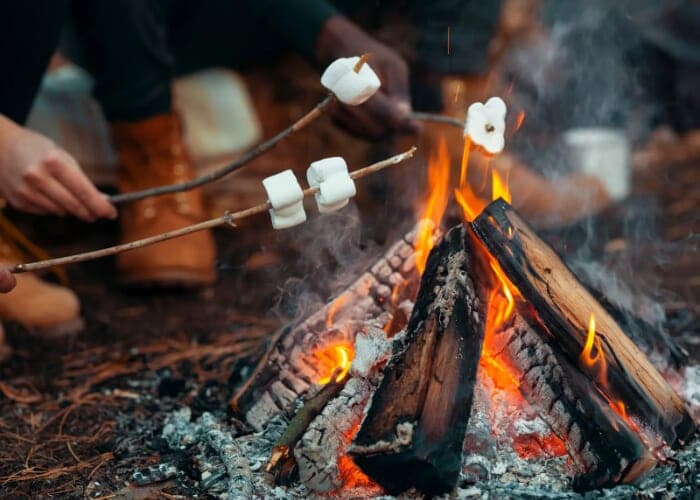 Saturday S'mores: Super Science